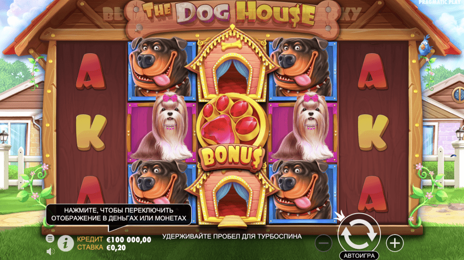 Как играть и выиграть в Dog House